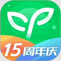 沪江网校