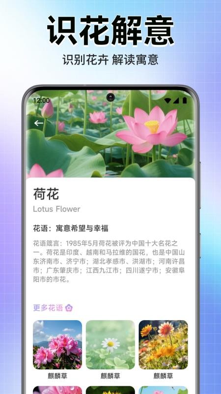轻漫岛时光截图3
