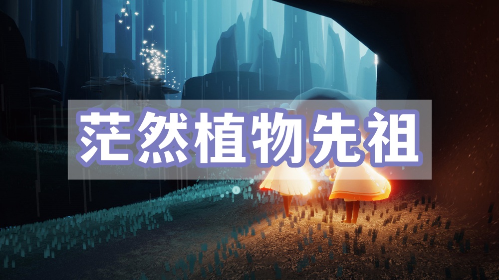 光遇茫然植物先祖位置